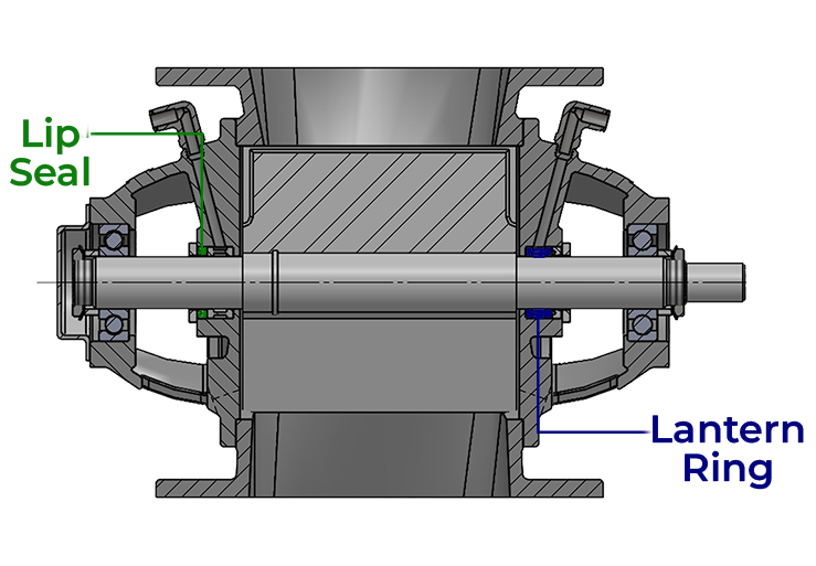 Right Image 2